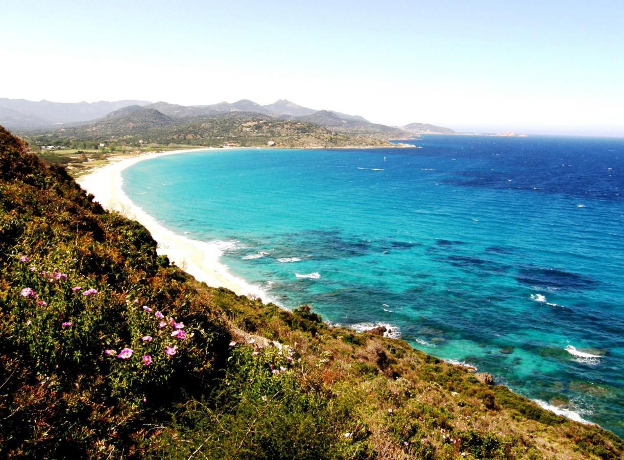 Vacancorse Maison U Canale Speloncato  Kültér fotó